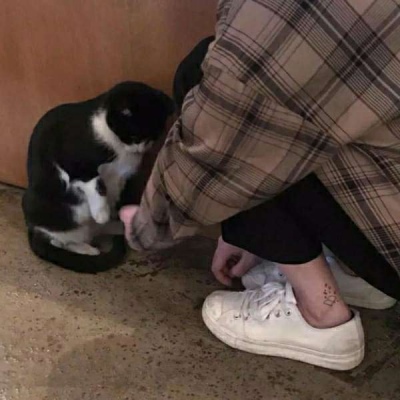 玉置浩二